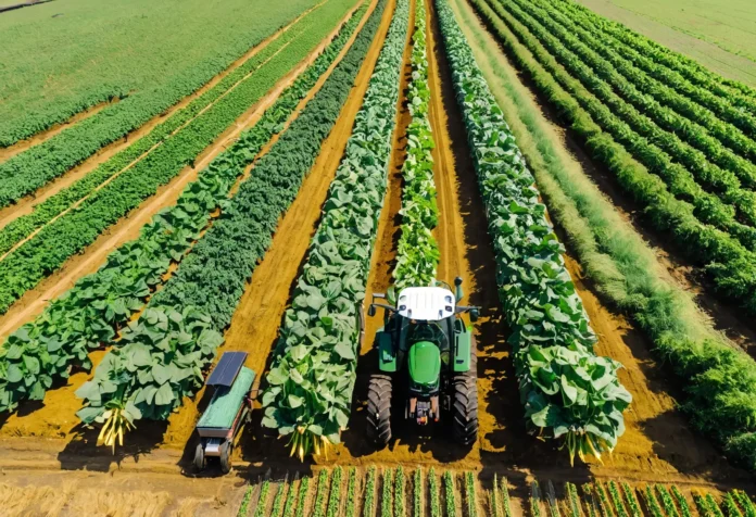 Sustainable Agriculture and Technological Innovations