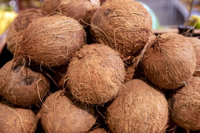 New mobile coconut sales programme launched