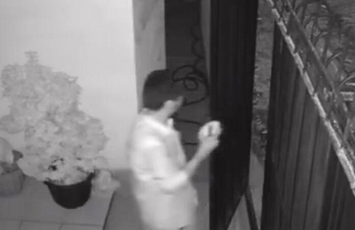 Bizzare theft in Nawala : Intruder leaves with single mango (CCTV)