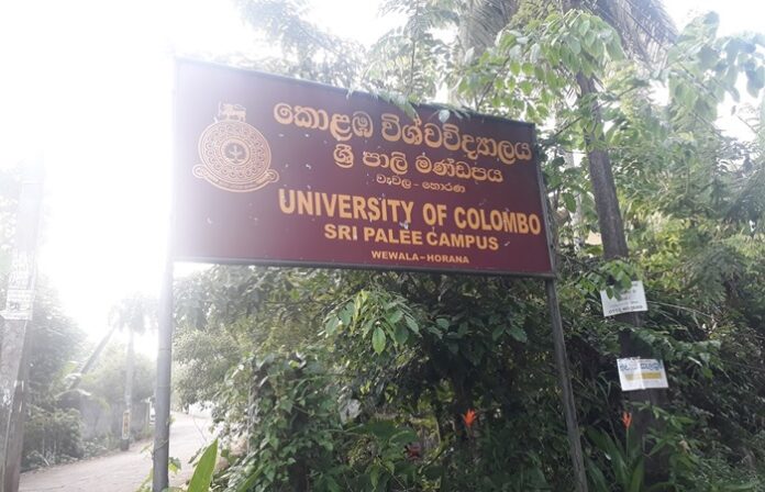 Kotagala Plantations land allocated to Sri Palee Campus