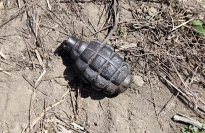 Two hand grenades recovered from Beliatta temple premises