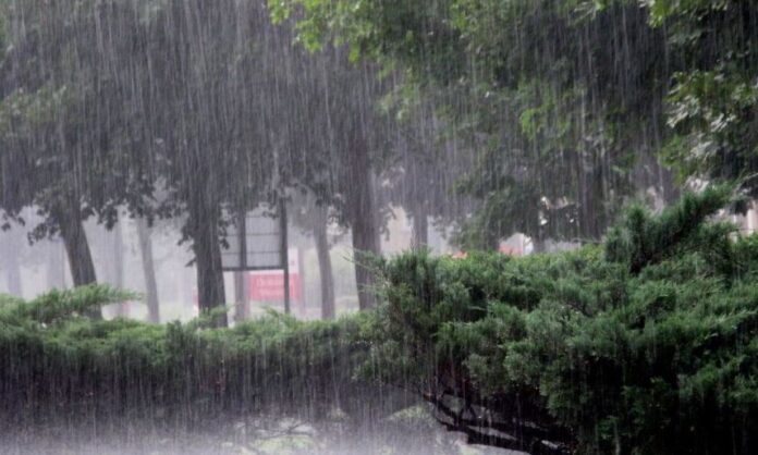 Rain Forecasted for Several Provinces Today