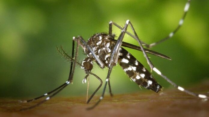 Sri Lanka reports 5,459 Dengue cases, 02 deaths in 2025