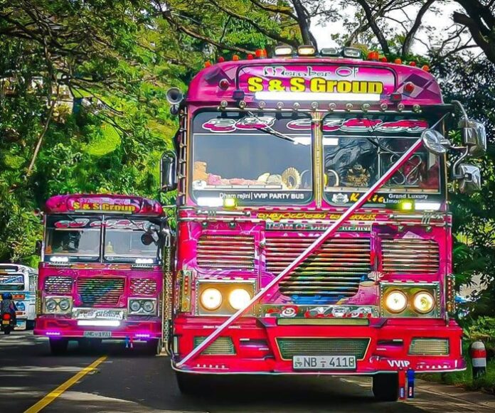 Cabinet nod to appoint committee to study bus modifications