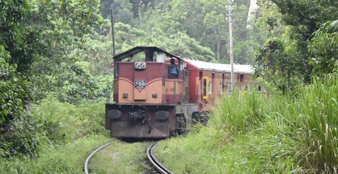 Tourist falls from moving Train in Sri Lanka, suffers severe injuries